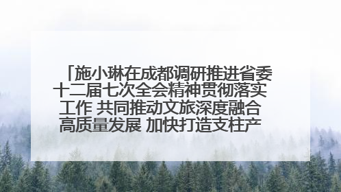施小琳在成都调研推进省委十二届七次全会精神贯彻落实工作 共同推动文旅深度融合高质量发展 加快打造支柱产业民生产业幸福产业