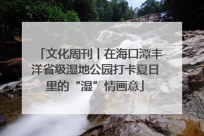 文化周刊丨在海口潭丰洋省级湿地公园打卡夏日里的“湿”情画意