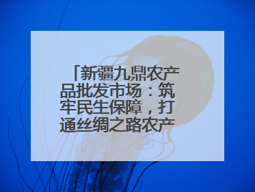 新疆九鼎农产品批发市场：筑牢民生保障，打通丝绸之路农产品贸易枢纽