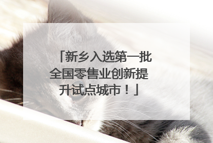 新乡入选第一批全国零售业创新提升试点城市！