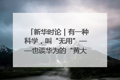 新华时论｜有一种科学，叫“无用”——也谈华为的“黄大年茶思屋”