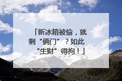 新冰箱被偷，就剩“俩门”？如此“生财”得拘！