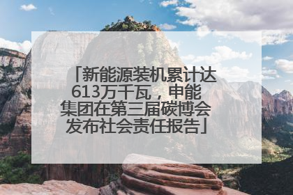 新能源装机累计达613万千瓦，申能集团在第三届碳博会发布社会责任报告