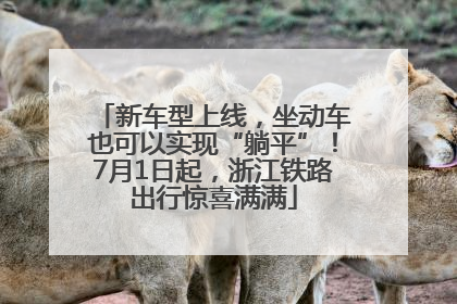 新车型上线，坐动车也可以实现“躺平”！7月1日起，浙江铁路出行惊喜满满