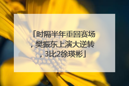 时隔半年重回赛场，樊振东上演大逆转，3比2徐瑛彬