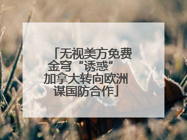 无视美方免费金穹“诱惑” 加拿大转向欧洲谋国防合作