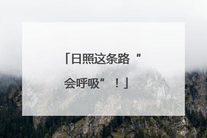 日照这条路“会呼吸”！