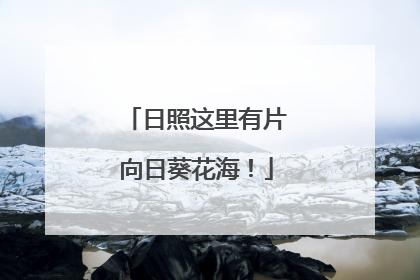 日照这里有片向日葵花海！