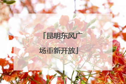 昆明东风广场重新开放
