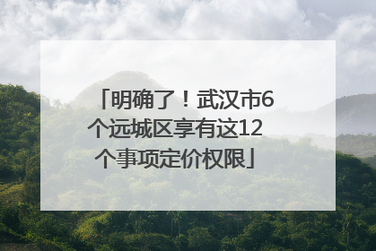 明确了！武汉市6个远城区享有这12个事项定价权限