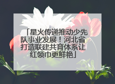 星火传递推动少先队事业发展！河北省打造联建共育体系让红领巾更鲜艳