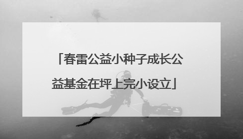 春雷公益小种子成长公益基金在坪上完小设立