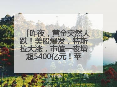 昨夜，黄金突然大跌！美股爆发，特斯拉大涨，市值一夜增超5400亿元！苹果传来大消息