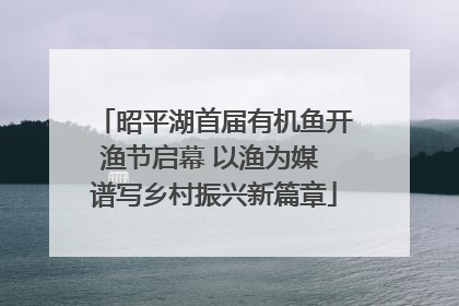昭平湖首届有机鱼开渔节启幕 以渔为媒 谱写乡村振兴新篇章