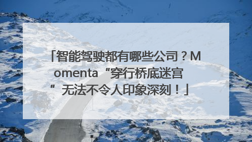智能驾驶都有哪些公司？Momenta“穿行桥底迷宫”无法不令人印象深刻！