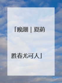 晚潮｜夏荫胜春尤可人