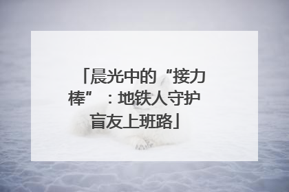 晨光中的“接力棒”：地铁人守护盲友上班路