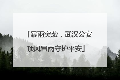 暴雨突袭，武汉公安顶风冒雨守护平安