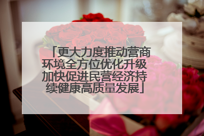 更大力度推动营商环境全方位优化升级加快促进民营经济持续健康高质量发展