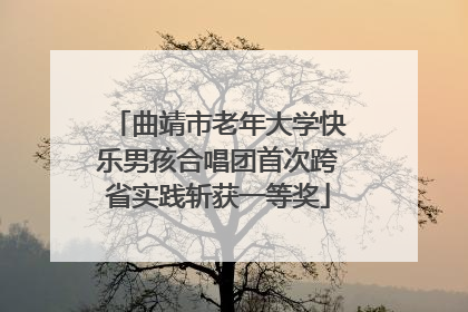 曲靖市老年大学快乐男孩合唱团首次跨省实践斩获一等奖