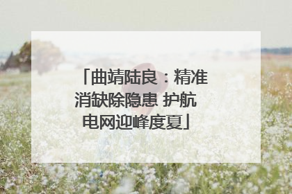 曲靖陆良：精准消缺除隐患 护航电网迎峰度夏