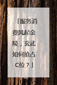 服务消费风起金陵，玄武如何抢占C位？