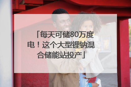 每天可储80万度电！这个大型锂钠混合储能站投产