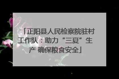 正阳县人民检察院驻村工作队：助力“三夏”生产 确保粮食安全