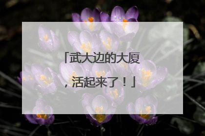 武大边的大厦，活起来了！