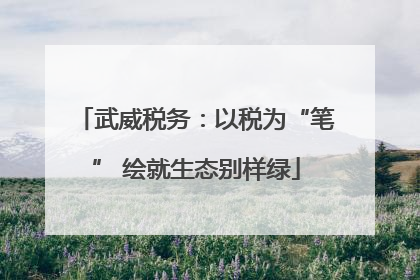 武威税务：以税为“笔” 绘就生态别样绿