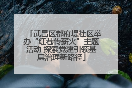 武昌区都府堤社区举办“红巷传薪火”主题活动 探索党建引领基层治理新路径
