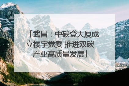 武昌：中碳登大厦成立楼宇党委 推进双碳产业高质量发展