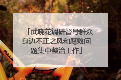 武晓花调研督导群众身边不正之风和腐败问题集中整治工作
