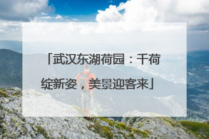 武汉东湖荷园：千荷绽新姿，美景迎客来