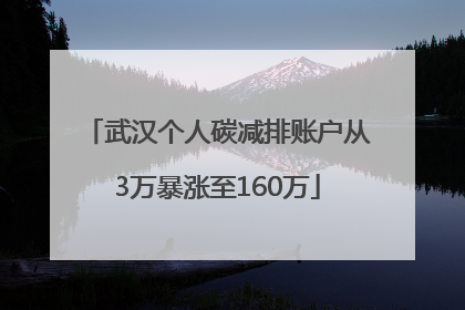 武汉个人碳减排账户从3万暴涨至160万