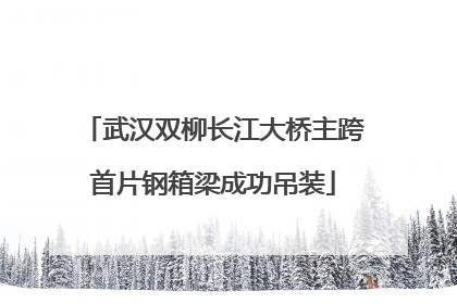 武汉双柳长江大桥主跨首片钢箱梁成功吊装