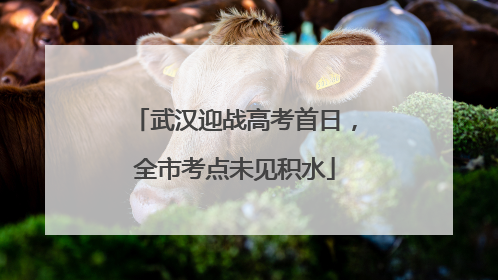 武汉迎战高考首日，全市考点未见积水