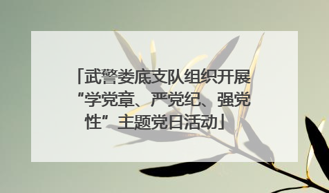 武警娄底支队组织开展“学党章、严党纪、强党性”主题党日活动