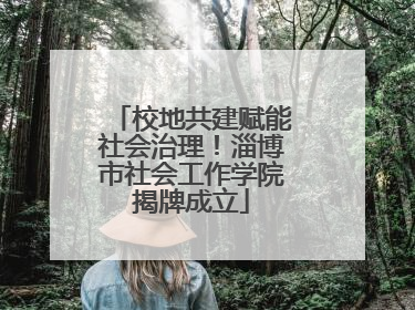 校地共建赋能社会治理！淄博市社会工作学院揭牌成立
