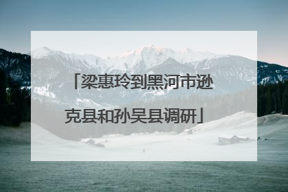 梁惠玲到黑河市逊克县和孙吴县调研