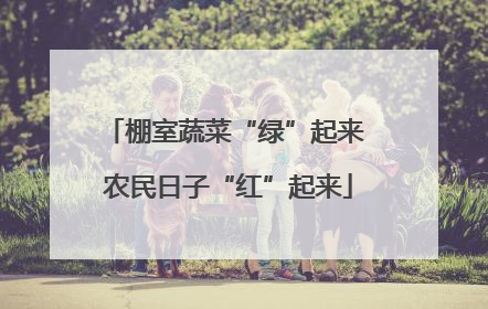 棚室蔬菜“绿”起来 农民日子“红”起来