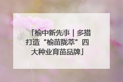榆中新先事｜多措打造“榆苗陇萃”四大种业育苗品牌