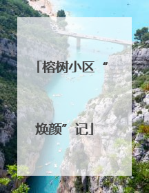榕树小区“焕颜”记