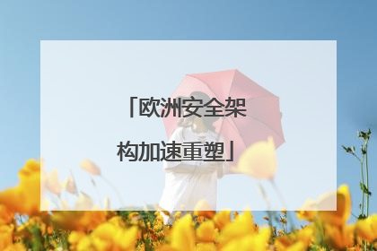 欧洲安全架构加速重塑