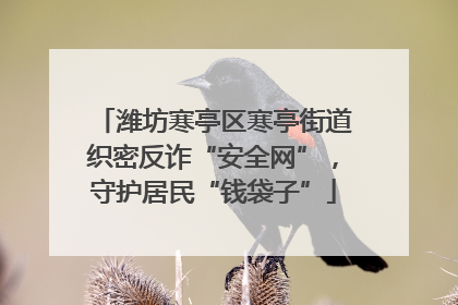 潍坊寒亭区寒亭街道织密反诈“安全网”，守护居民“钱袋子”