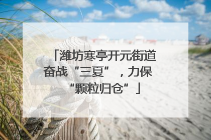 潍坊寒亭开元街道奋战“三夏”，力保“颗粒归仓”