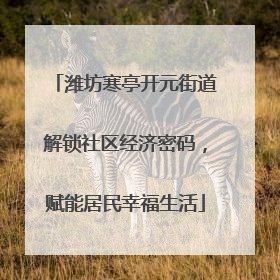 潍坊寒亭开元街道解锁社区经济密码，赋能居民幸福生活