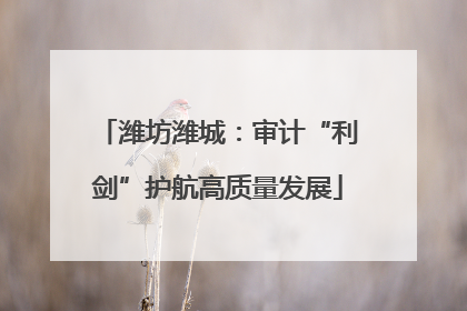 潍坊潍城：审计“利剑”护航高质量发展