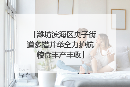 潍坊滨海区央子街道多措并举全力护航粮食丰产丰收