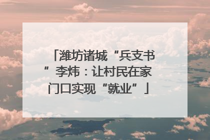 潍坊诸城“兵支书”李炜：让村民在家门口实现“就业”
